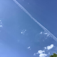 画像297