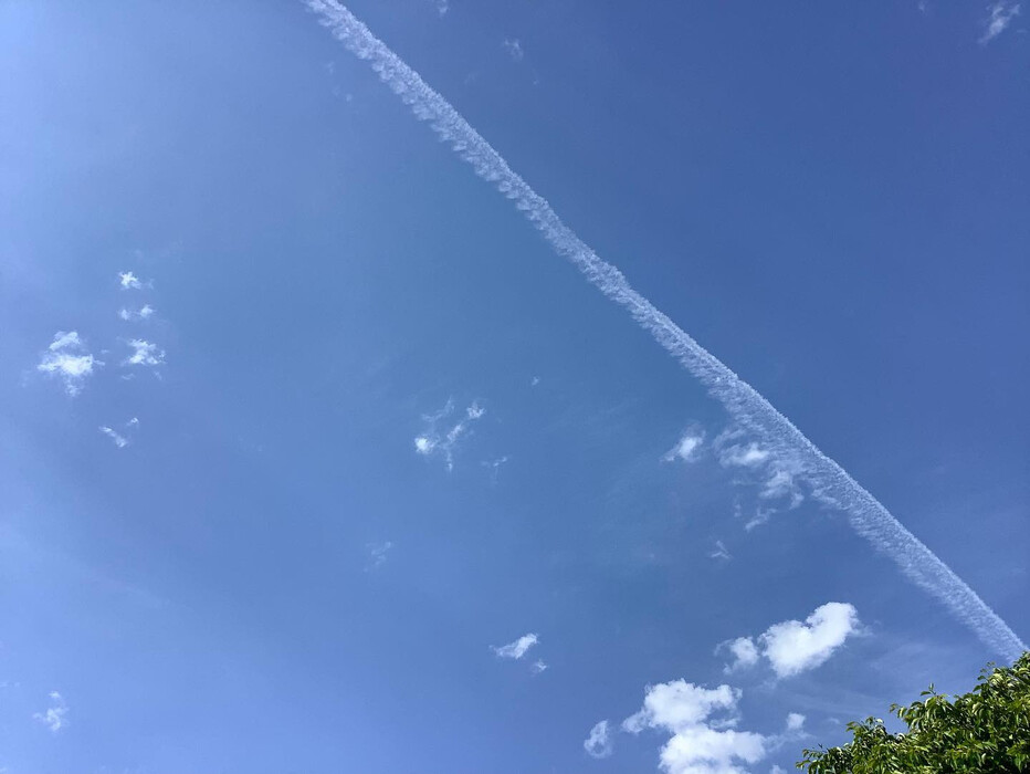 画像297