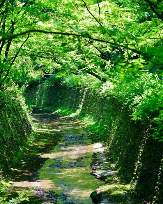 画像336